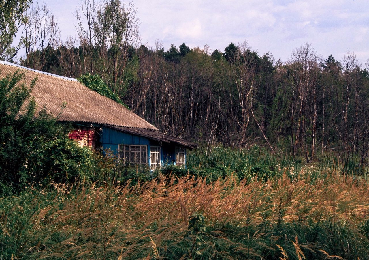 Дом на болоте ч.1